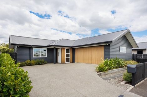 Photo of property in 35a Ward Street, Palmerston North, 4410