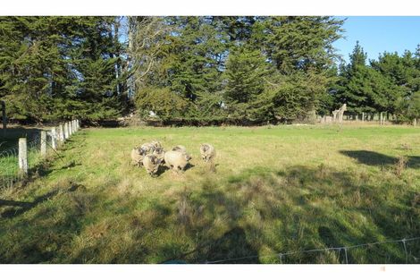 Photo of property in 98 Timaru-temuka Highway, Washdyke, Timaru, 7973