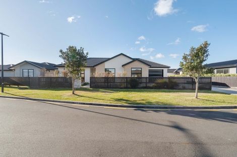 Photo of property in 20 Bronze Court, Papamoa, 3118