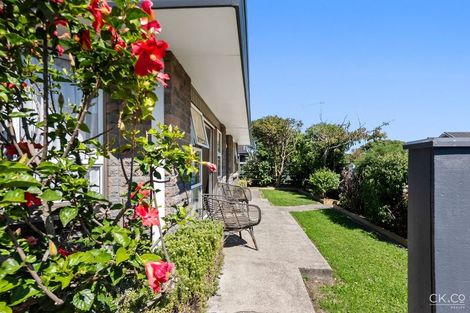 Photo of property in 4/6 Cornwall Street, Hutt Central, Lower Hutt, 5010