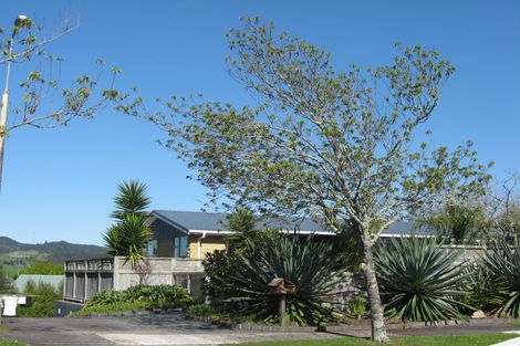 Photo of property in 32 Harlock Place, Huntly, 3700