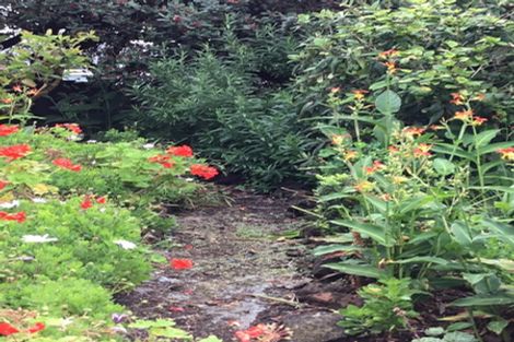 Photo of property in 38a Albert Road, Devonport, Auckland, 0624