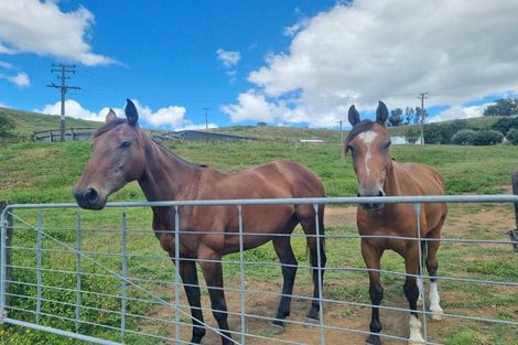 Photo of property in 358 Mangaotaki Road, Piopio, 3971