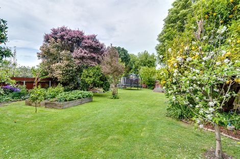 Photo of property in 1 Vogel Place, Marewa, Napier, 4110