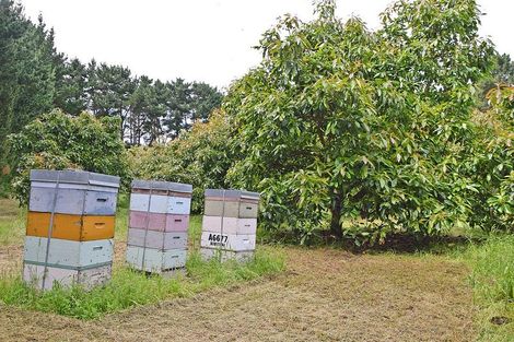 Photo of property in 1 Journeys End, Tapora, Wellsford, 0977