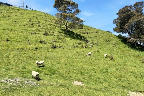 Photo of property in 830 Manawahe Road, Matata, Whakatane, 3194