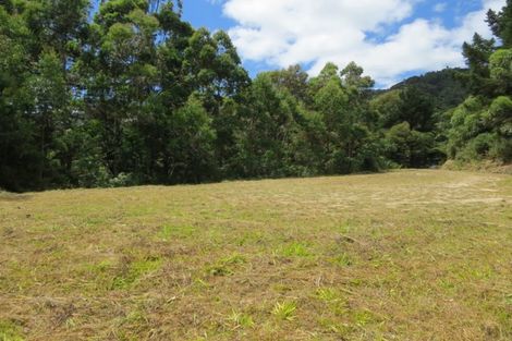 Photo of property in 1090 Driving Creek Road, Coromandel, 3583