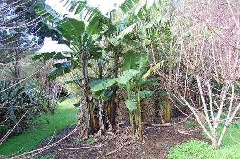 Photo of property in 210a Pukenui Road, Kaiwaka, 0573