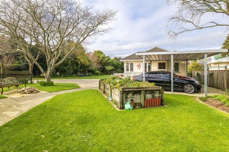 Photo of property in 30 Macarthur Street, Levin, 5510