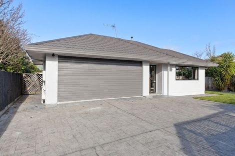 Photo of property in 20a East Street, Terrace End, Palmerston North, 4410
