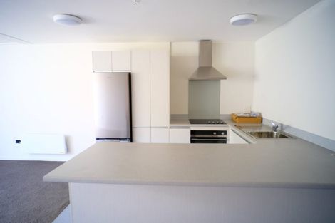 Photo of property in Te Awhina Apartments, 9/22 Sussex Street, Mount Cook, Wellington, 6021