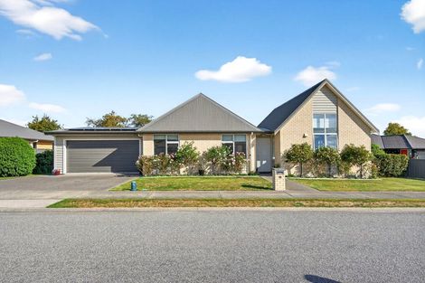 Photo of property in 13 Tarata Grove, Lansdowne, Masterton, 5810