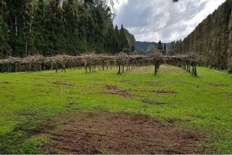 Photo of property in 328 Riverhead Road, Riverhead, 0892