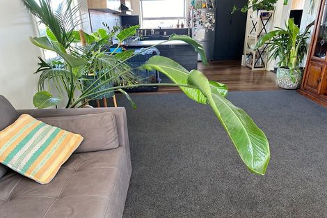 Photo of property in 3 Ostler Place, Hoon Hay, Christchurch, 8025