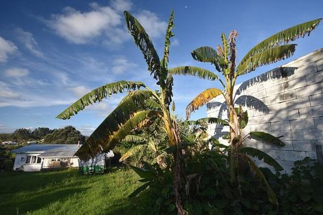 Photo of property in 14 Komiti Road, Tinopai, Matakohe, 0593