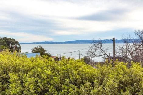 Photo of property in 15 Springfield Avenue, Ngarimu Bay, Thames, 3575