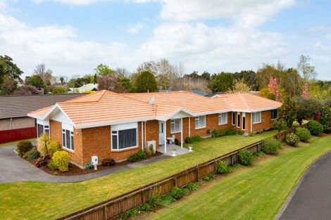 Photo of property in 456 Thames Street, Morrinsville, 3300