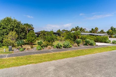 Photo of property in 10 Ti Tree Place, Mangawhai Heads, Mangawhai, 0505