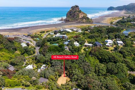 Photo of property in 48 Beach Valley Road, Piha, 0772