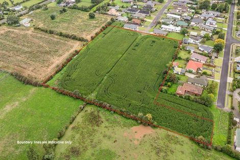 Photo of property in 20 Coolen Place, Tuakau, 2121