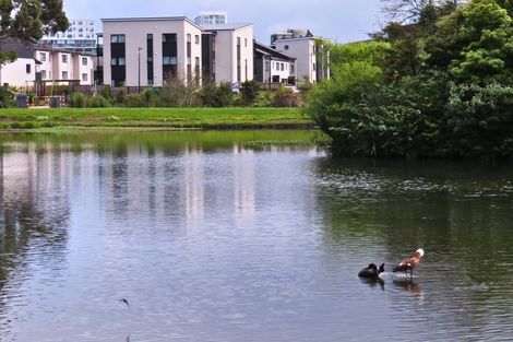 Photo of property in 2/58 Tuaiwi Street, Manukau, Auckland, 2104