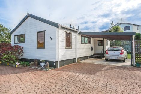 Photo of property in 48 Treadwell Street, Springvale, Whanganui, 4501