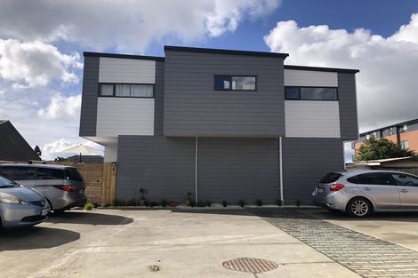 Photo of property in 13d Serjeant Street, Henderson, Auckland, 0612