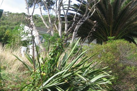 Photo of property in 36 Tannadyce Street, Strathmore Park, Wellington, 6022