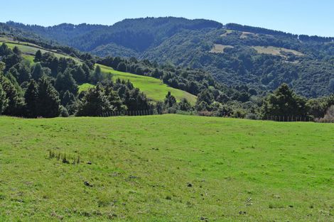 Photo of property in 128 Schollum Road, Big Omaha, Warkworth, 0985