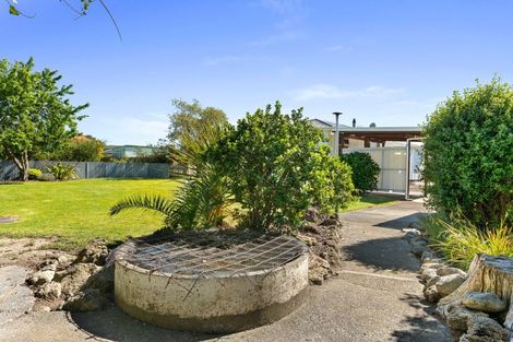 Photo of property in 131 Colombo Road, Masterton, 5810