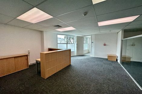 Photo of property in 8a Madeira Lane, Grafton, Auckland, 1023