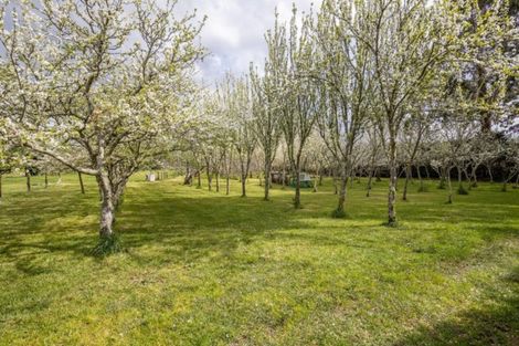 Photo of property in 105 River Road, Appleby, Richmond, 7081