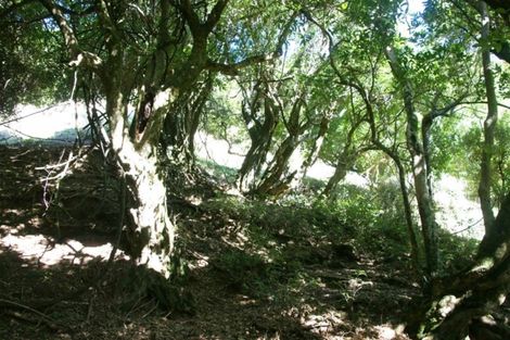 Photo of property in 220 Jubilee Road, Wainui, French Farm, 7582