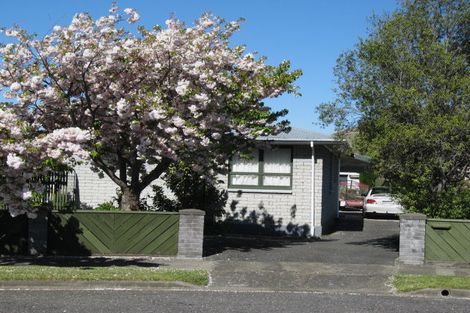 Photo of property in 25 Gilbert Street, Witherlea, Blenheim, 7201