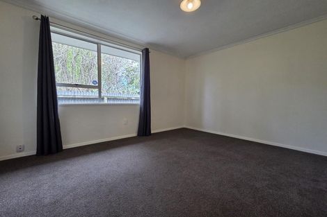 Photo of property in 60 Aldwins Road, Phillipstown, Christchurch, 8062