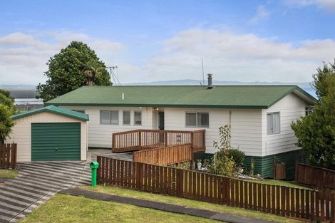 Photo of property in 404 Millington Place, Thames, 3500