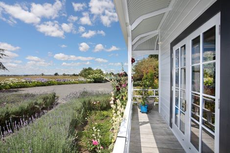 Photo of property in 84 Johnson Street, Bulls, 4818