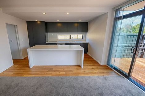 Photo of property in 1/66 Bishop Street, St Albans, Christchurch, 8014