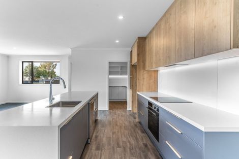 Photo of property in 57 Dejoux Road, Winton, 9720