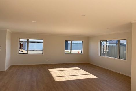 Photo of property in 22 Arrow Place, Te Awa, Napier, 4110