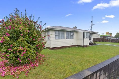 Photo of property in 99 Heath Street, St Andrews, Hamilton, 3200