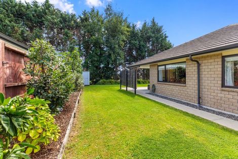 Photo of property in 22 Bertrowe Drive, Ohauiti, Tauranga, 3112