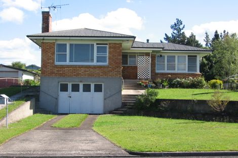 Photo of property in 50 Reservoir Street, Putaruru, 3411