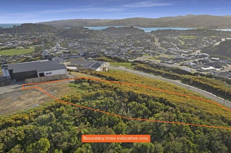 Photo of property in 11 Stunsail Lane, Whitby, Porirua, 5024