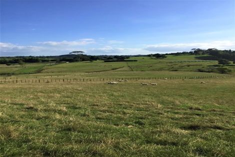 Photo of property in 59 Wilks Road West, Dairy Flat, Albany, 0794