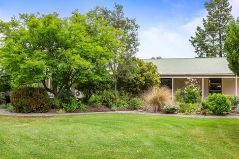 Photo of property in 48 Mutton Town Road, Clyde, Alexandra, 9391