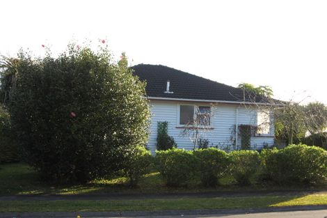Photo of property in 17 College Place, Chartwell, Hamilton, 3210