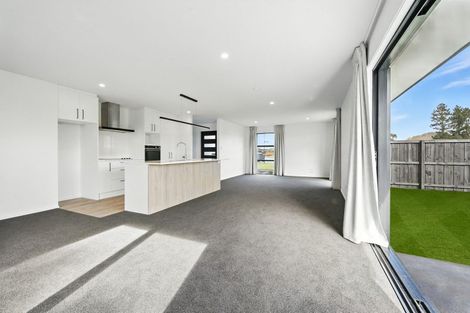 Photo of property in 64 Lambies Street, Marshland, Christchurch, 8083