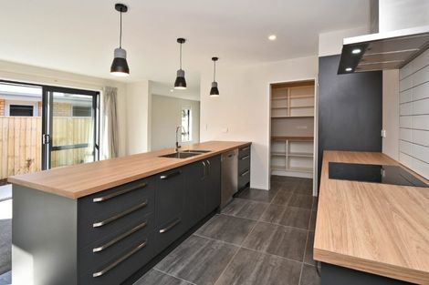 Photo of property in 100 Chinnerys Road, Woodend, 7610