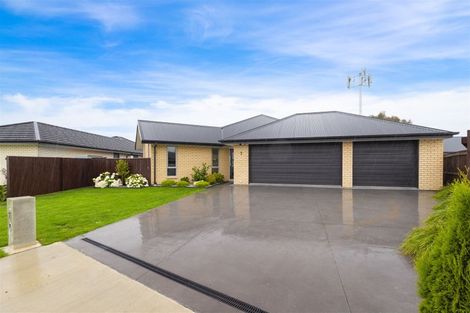 Photo of property in 7 Minerva Crescent, Woodend, 7610